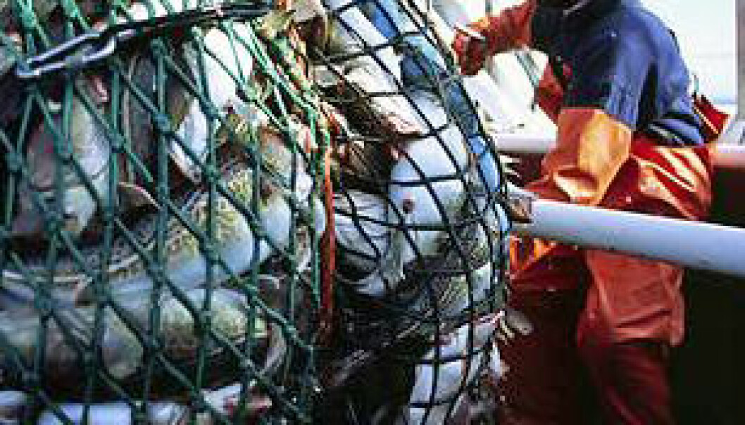 Svartmaler norsk fiskeriforvaltning