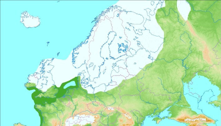 Utberedelse av isen i Europa for rundt 20 000 år siden, da isen var på sitt største. Utberedelse av isen i Europa for rundt 20 000 år siden, da isen var på sitt største.