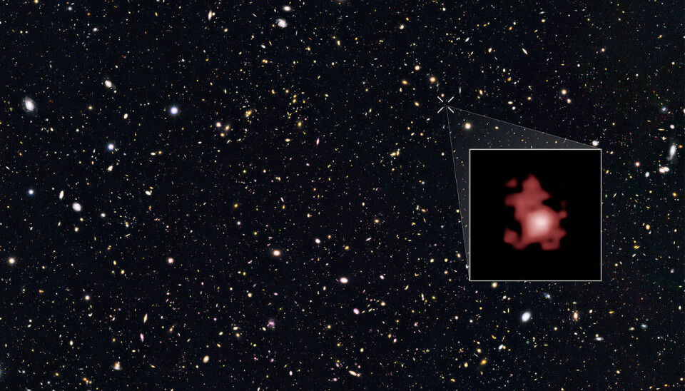 Den røde flekken som er forstørret er galaksen GN-z11, den eldste og fjerneste forskere kjenner til.
