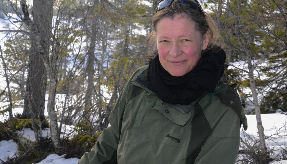 Louise Hansen, forsker ved Norges Geologiske Undersøkelse.