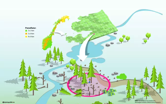 Landsskogtakseringen utarbeider oversikter og statistikk over arealer og skogressurser i hele Norge. Registreringene utføres på 22 800 faste prøveflater som er systematisk fordelt over hele landet.