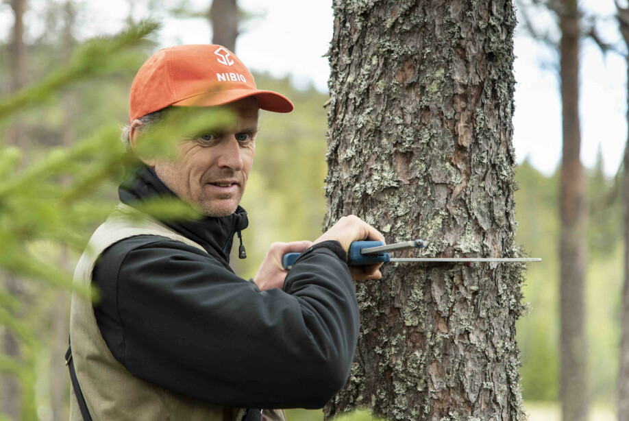 Hvert år blir skogens tilstand registrert. Den norske Landsskogtakseringen er verdens eldste landsdekkende skogtaksering. Her er Erik Sørensen i aksjon.