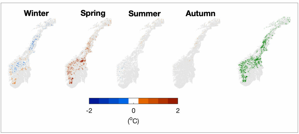 Figuren viser områder i Norge med skogplanting fordelt på ulike årstider, hentet fra modellen i studien. Lokalt kan skogplanting øke lufttemperaturer om våren med så mye som 1 grad. For andre årstider er det liten endring. Helt til høyre vises områder med skogplanting i Norge.