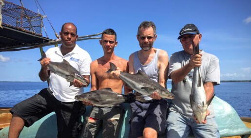 Norske forskerne hjelper Cuba med fiskeoppdrett Norske forskerne hjelper Cuba med fiskeoppdrett