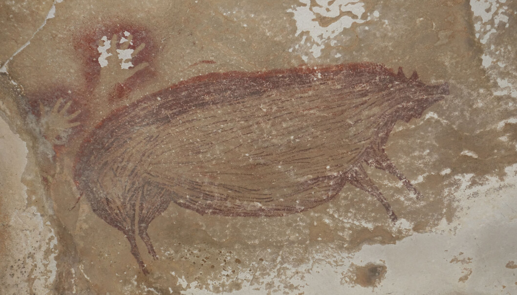 Dette hulemaleriet av et grisedyr fra Sulawesi er datert til å være mer enn 45 000 år gammelt. Bildet Dette hulemaleriet av et grisedyr fra Sulawesi er datert til å være mer enn 45 000 år gammelt. Bildet