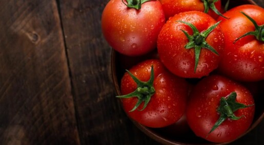 Tomat fra drivhus eller utlandet? Slik velger du klimavennlige grønnsaker