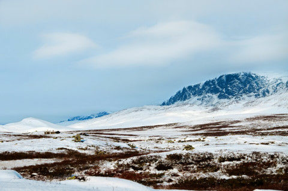 Er høgfjellsplatå som Hardangervidda gammal havbotn som har heva seg, eller er dei skurt ned av isbrear? Ein ny studie tyder på det siste. (Foto: Colourbox)