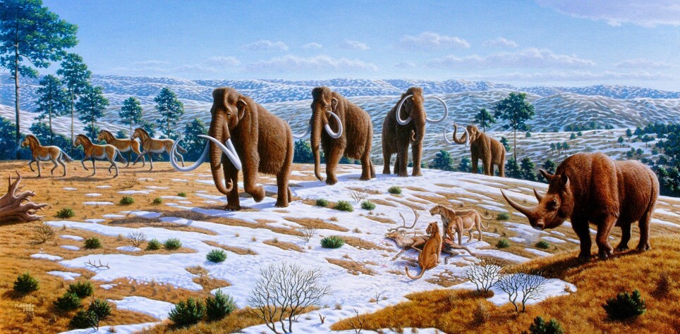 Et utvalg dyr som døde ut mot slutten av siste istid i Europa, slik en kunstner ser det for seg. Her er blant annet mammut og ullhåret neshorn representert.
