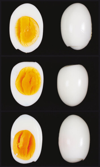 Det er forskjeller i farge på eggeplommen til økologiske egg (øverst), egg fra burhøns, og egg fra frittgående høns (nederst). (Foto: Kjell Merok, Nofima) Det er forskjeller i farge på eggeplommen til økologiske egg (øverst), egg fra burhøns, og egg fra frittgående høns (nederst). (Foto: Kjell Merok, Nofima)
