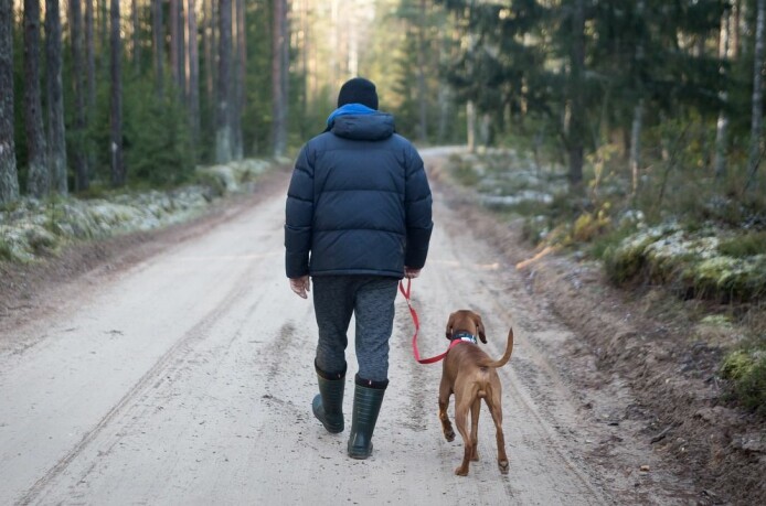 Bruk av korrigeringer i treningen kan redusere hundens velferd