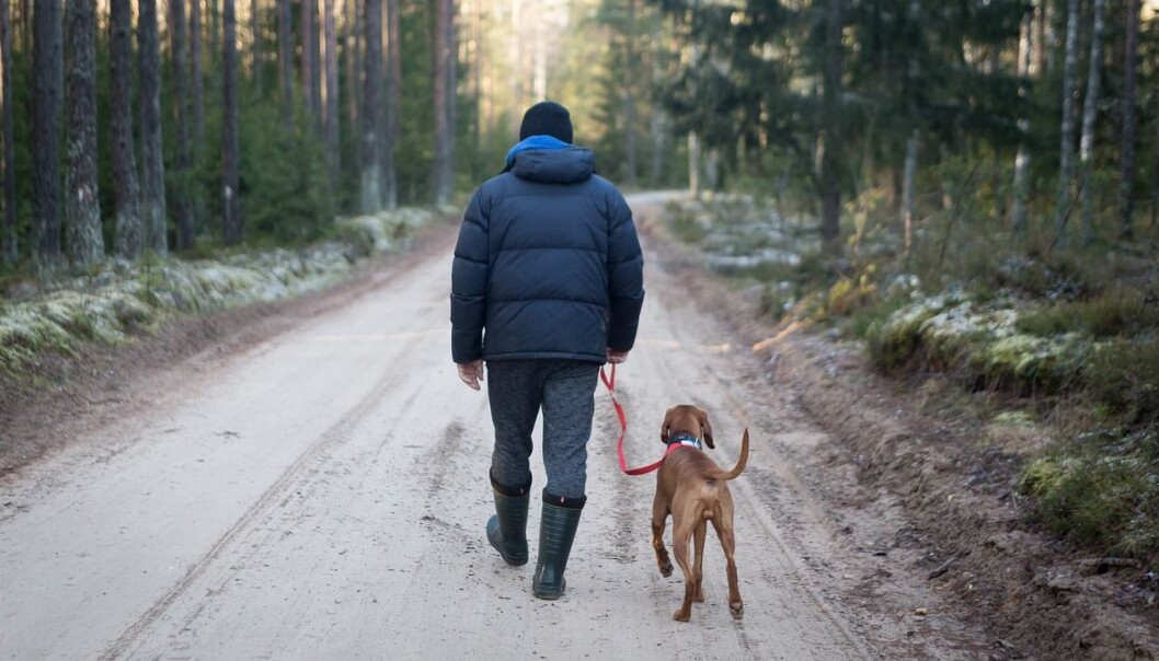 Det forskes stadig mer på treningsmetoder Det forskes stadig mer på treningsmetoder