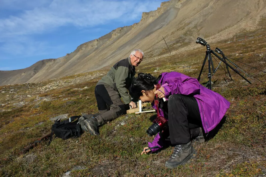Forskerne Arvid Odland og Gauri Bandekar tar prøver av vegetasjon og jordsmonn i Adventsdalen på Spitsbergen.