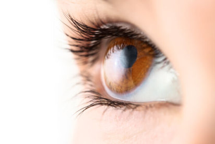 (Foto: iStockphoto) (Foto: iStockphoto)
