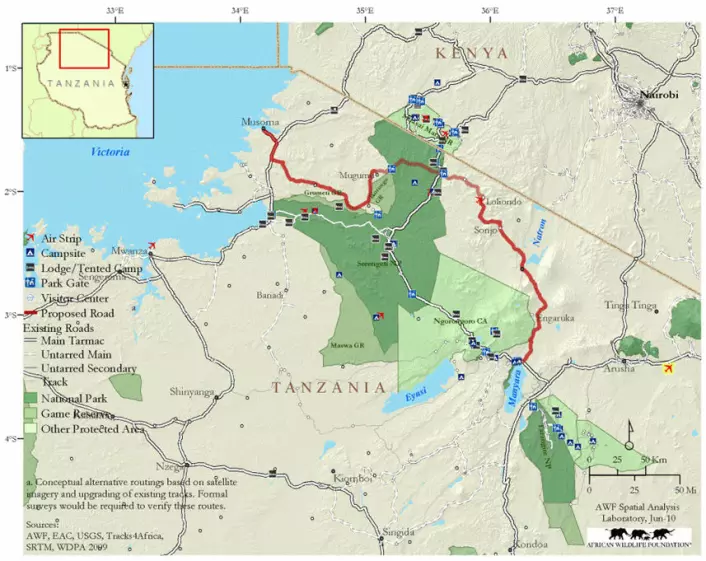 Det mørkeste grønne på dette kartet er Serengeti nasjonalpark. Her ser vi hvor det går veier gjennom parken i dag (hvite markeringer). Den planlagte veien er markert med rødt.