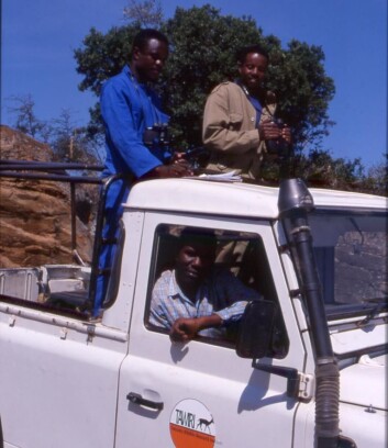 NTNUs forskningsprogram i Serengeti foregår i samarbeid med blant andre Tanzania Wildlife Research Institute. Her er forskere ute på dyretelling. (Foto: Eivin Røskaft) NTNUs forskningsprogram i Serengeti foregår i samarbeid med blant andre Tanzania Wildlife Research Institute. Her er forskere ute på dyretelling. (Foto: Eivin Røskaft)