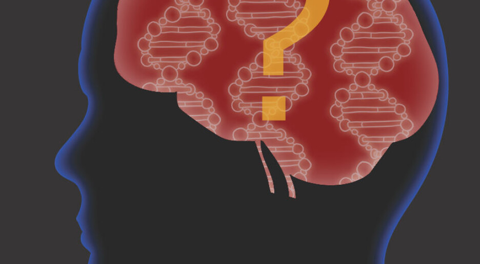 Den store uvissheten