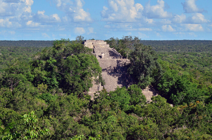 Illustrasjonsbilde av tempelstedet Calakmul i dagens Mexico. Illustrasjonsbilde av tempelstedet Calakmul i dagens Mexico.