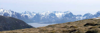 En forkastningssone har skapt det vakre landskapet i Vesterålen og Lofoten. (Foto: Gudmund Løvø/NGU) En forkastningssone har skapt det vakre landskapet i Vesterålen og Lofoten. (Foto: Gudmund Løvø/NGU)