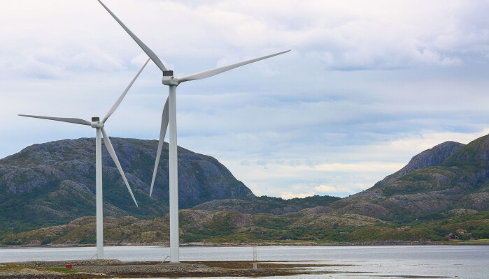 Må vi virkelig ofre natur for å redde klimaet? Vil vi det? Må vi virkelig ofre natur for å redde klimaet? Vil vi det?