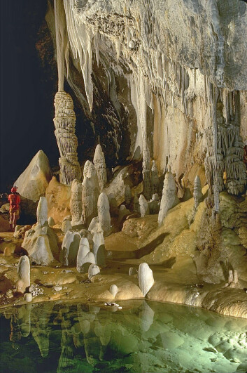 Lechuguillagrotten i New Mexico, USA. (Foto: Dave Brunnell/Wikimedia Commons) Lechuguillagrotten i New Mexico, USA. (Foto: Dave Brunnell/Wikimedia Commons)