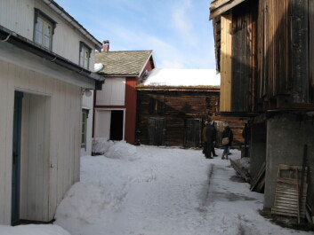 Gardsanlegg i ulike kulturlandskap - her fra Røros sentrum. (Foto: Sebastian Eiter / Skog og landskap) Gardsanlegg i ulike kulturlandskap - her fra Røros sentrum. (Foto: Sebastian Eiter / Skog og landskap)