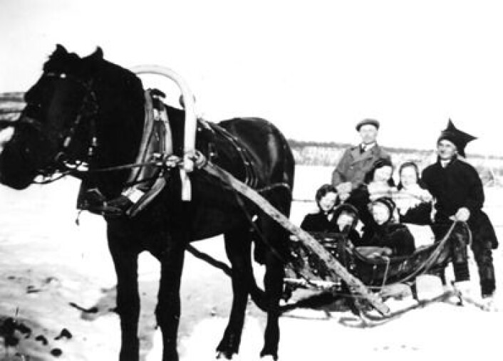 Kvenar i Nord-Noreg: Assimilasjon var den rådande politikken overfor minoritetar i Noreg heilt fram til etter andre verdskrig. Her ser vi kvenar som reiser med hesteskyss i Børselv, Porsanger, truleg i 1930-åra. (Foto: Alvilde Nilsen, Porsanger museum) Kvenar i Nord-Noreg: Assimilasjon var den rådande politikken overfor minoritetar i Noreg heilt fram til etter andre verdskrig. Her ser vi kvenar som reiser med hesteskyss i Børselv, Porsanger, truleg i 1930-åra. (Foto: Alvilde Nilsen, Porsanger museum)