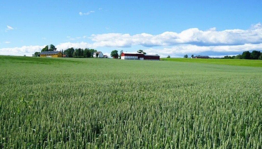 When wastewater plants recover more phosphorous from sewage, Norwegian farmers can benefit from cheaper fertilisers. When wastewater plants recover more phosphorous from sewage, Norwegian farmers can benefit from cheaper fertilisers.