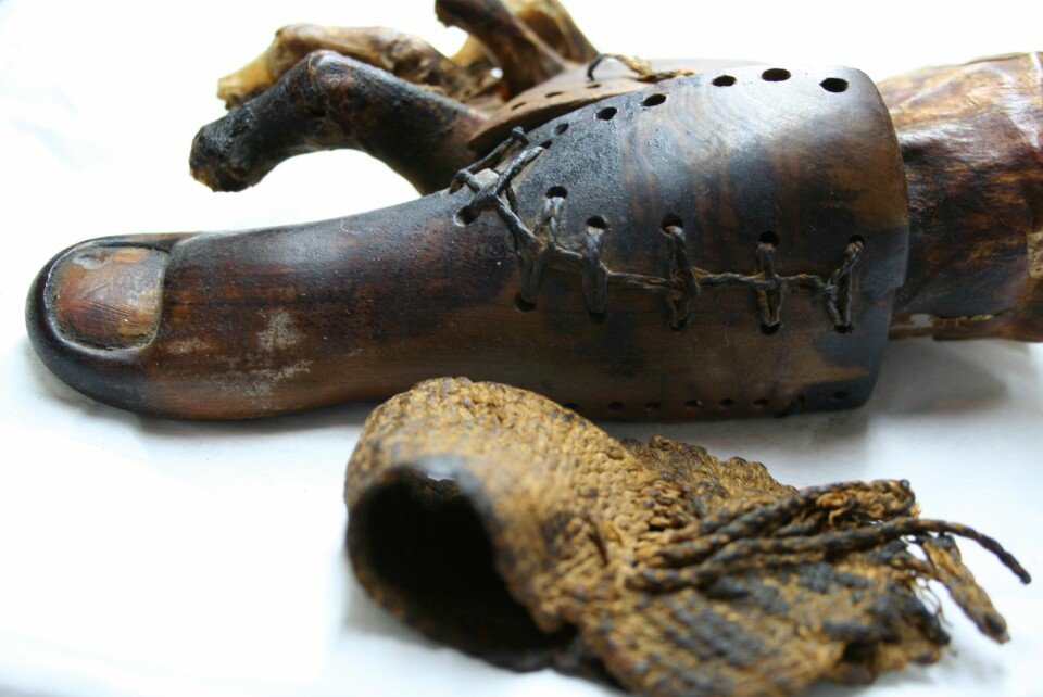 'Denne protesen tilhørte en gang en egyptisk prestedatter. Protesens konstruksjon er ganske komplisert, og den har blant annet et hengselsystem som etterligner et ledd. (Foto: The University of Manchester)'
