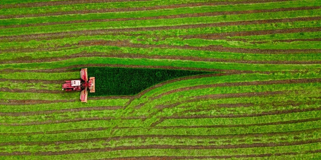 Common to all biofuels is that plants are broken down and transformed into a product we can take advantage of in vehicles and machines, for example. Common to all biofuels is that plants are broken down and transformed into a product we can take advantage of in vehicles and machines, for example.