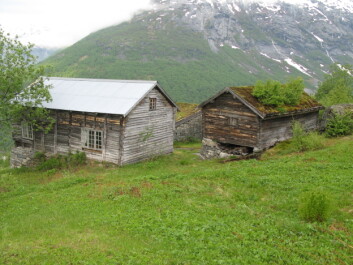 Gardsanlegg i ulike kulturlandskap – her fra Jostedalen i Luster kommune i Sogn og Fjordane. (Foto: Sebastian Eiter / Skog og landskap) Gardsanlegg i ulike kulturlandskap – her fra Jostedalen i Luster kommune i Sogn og Fjordane. (Foto: Sebastian Eiter / Skog og landskap)