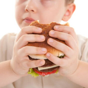(Foto: iStockphoto) (Foto: iStockphoto)