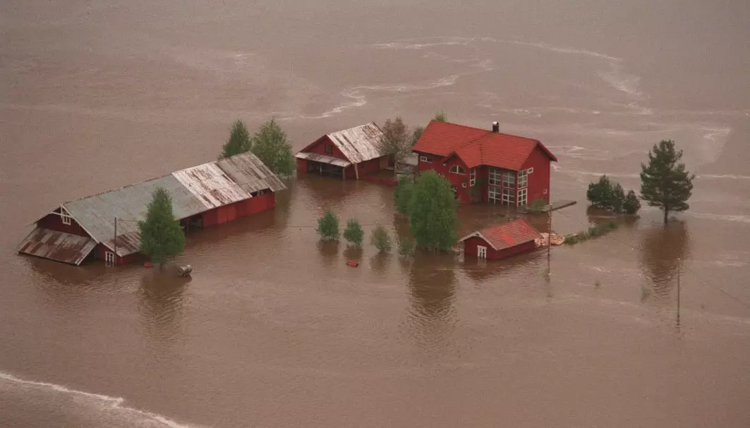 Bildet viser en rammet gård i Heradsbygd, sør for Elverum, under den katastrofale flommen i 1995. Flommen i Glomma i 1995 er den nest største noen gang.