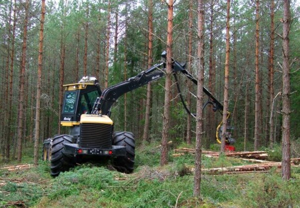 Maskinell tynning med flertreaggregat. Aggregatet er fleksibelt. Det kan håndtere trær enkeltvis eller i bunter, og er egnet til å håndtere ulike sortiment. Sagtømmer, massevirke og småvirke til energi kan dermed høstes i samme operasjon. (Foto: Gunnhild Søgaard/Skog og landskap)