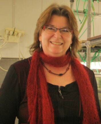 Professor Gunilla Rosenqvist. (Foto: Ida Korneliussen) Professor Gunilla Rosenqvist. (Foto: Ida Korneliussen)