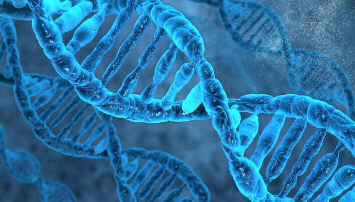 Illustrasjonen viser en modell av DNA-molekylet, som er formet som en slags tvinnet taustige. Trinnene i stigen representerer bokstaver som beskriver genene våre. Illustrasjonen viser en modell av DNA-molekylet, som er formet som en slags tvinnet taustige. Trinnene i stigen representerer bokstaver som beskriver genene våre.