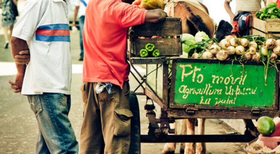 Økonomisk krise ga helsegevinst på Cuba
