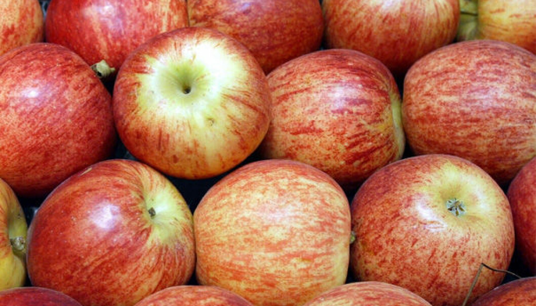 Epler gir sterkere muskler