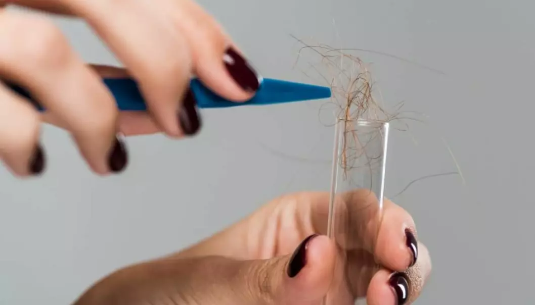 Rusmidler kan inkorporeres i håret via blodet.