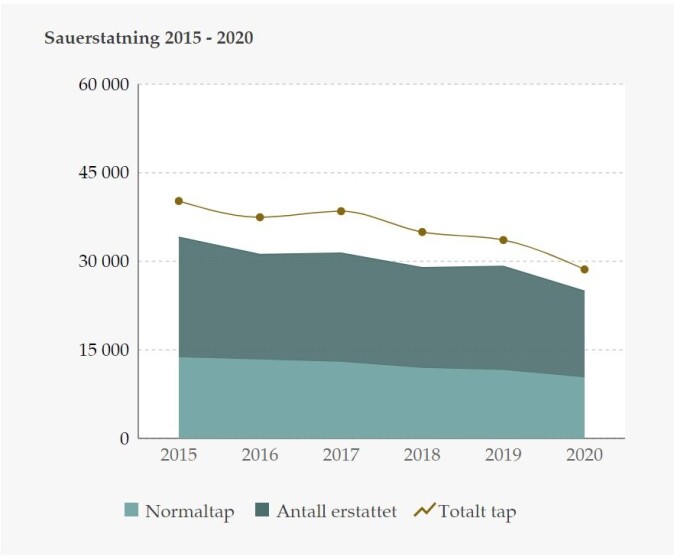 Figuren viser erstatning for tap av sau i perioden 2015-2020. Figuren viser erstatning for tap av sau i perioden 2015-2020.