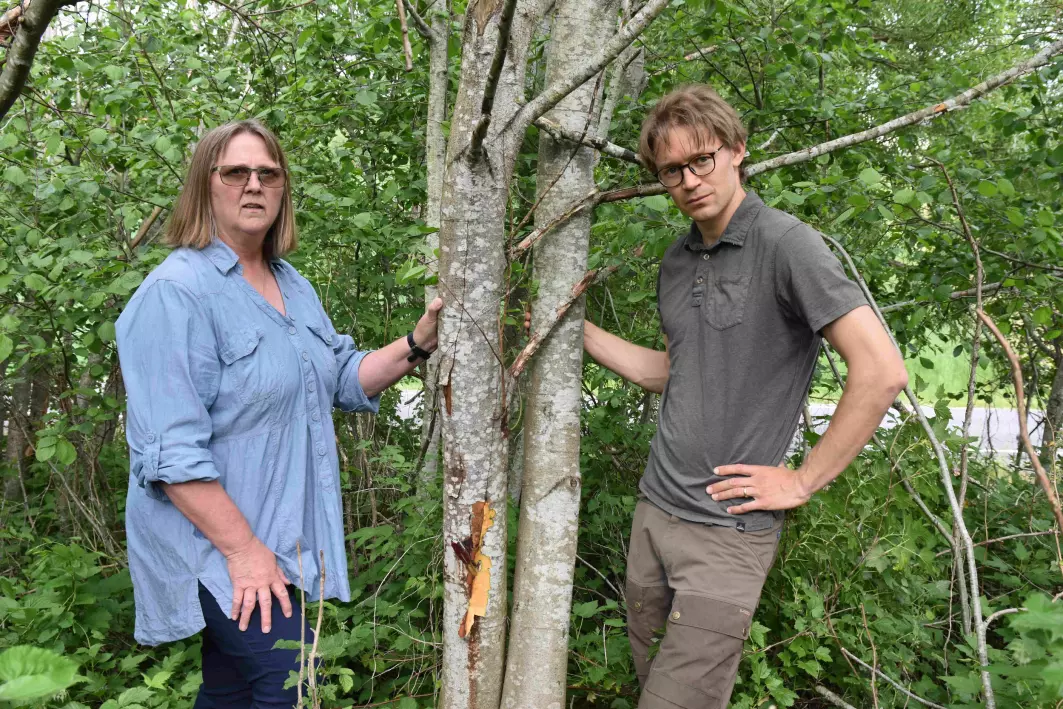 Forskerne Venche Talgø og Martin Petterson ved NIBIO har klare råd til oss alle for å unngå spredning av plantedreperen Phytophthora.