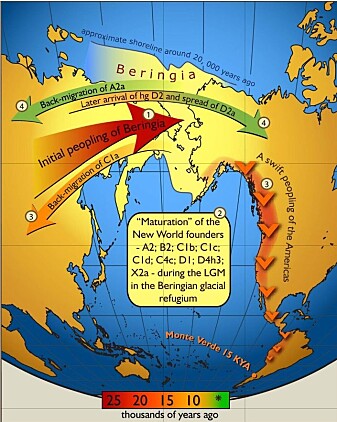 Mennesker dro til Amerika over en "bro" av land som knyttet sammen Sibir og Nord-Amerika. Mennesker dro til Amerika over en "bro" av land som knyttet sammen Sibir og Nord-Amerika.