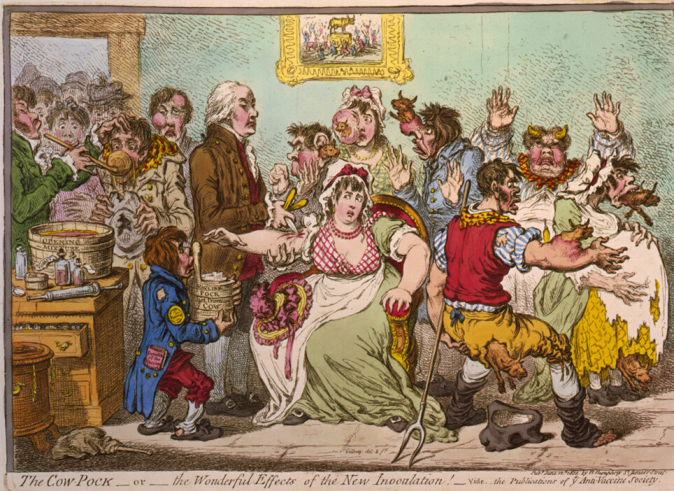 Puss fra blemmer på kuer med sykdommen kopper, ble brukt i den første moderne vaksinen. Mange var skeptiske, som denne karikaturen fra 1802 handler om.