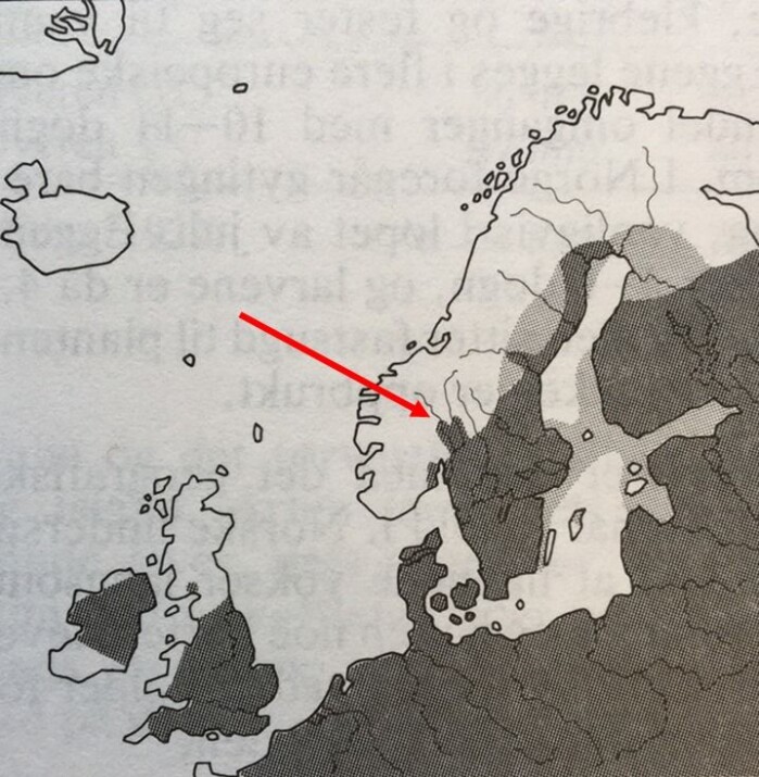 Utbredelsen av brasme (Abramis brama) i Europa. Pilen viser nordenden av Mjøsa og Lågendeltaet, som danner artens nordlige utbredelse i Norge, og den nordvestlige grensen for utbredelsen i Europa. Fra Pethon (1994) - Aschehougs store fiskebok. Utbredelsen av brasme (Abramis brama) i Europa. Pilen viser nordenden av Mjøsa og Lågendeltaet, som danner artens nordlige utbredelse i Norge, og den nordvestlige grensen for utbredelsen i Europa. Fra Pethon (1994) - Aschehougs store fiskebok.