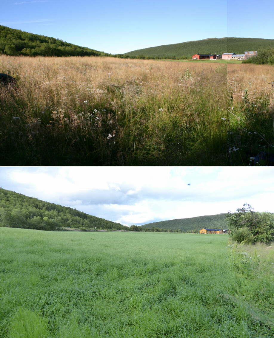 Det øverste bildet fra 2006 er av en villeng i Tana kommune i Troms og Finnmark. I det nederste bildet fra 2017 er villenga omgjort til monokulturell dyrket mark.