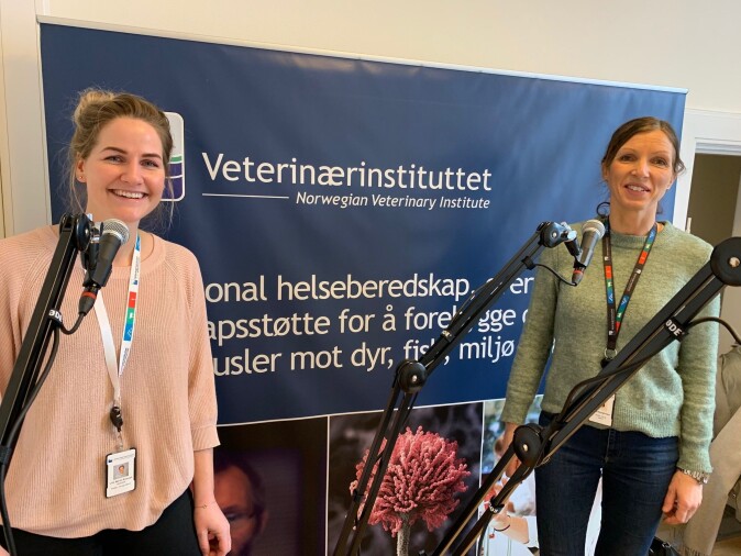 – Prosjektet skal undersøke forekomsten av bakterier som gir lungebetennelse hos kalv fra norske kjøttfe- og melkekubesetninger, sier prosjektleder Thea Blystad Klem, her til høyre. Med henne på bildet er stipendiat Lise Marie Ånestad. – Prosjektet skal undersøke forekomsten av bakterier som gir lungebetennelse hos kalv fra norske kjøttfe- og melkekubesetninger, sier prosjektleder Thea Blystad Klem, her til høyre. Med henne på bildet er stipendiat Lise Marie Ånestad.
