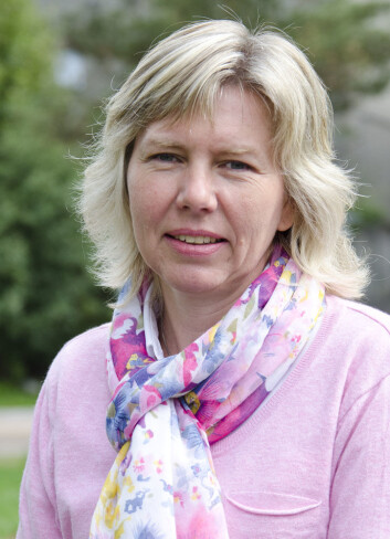 Hilde Moseby Berge. (Foto: Andreas B. Johansen) Hilde Moseby Berge. (Foto: Andreas B. Johansen)