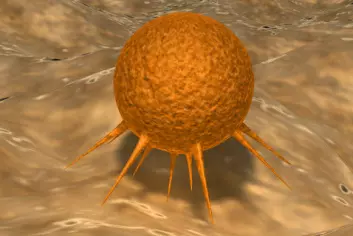 Celler vil heller utvikle seg til kreftceller enn å dø. Ny dansk forskning forklarer hvorfor. (Foto: (Illustrasjon: Colourbox))