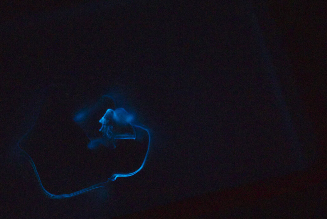 Phosphorescence. Phosphorescence.