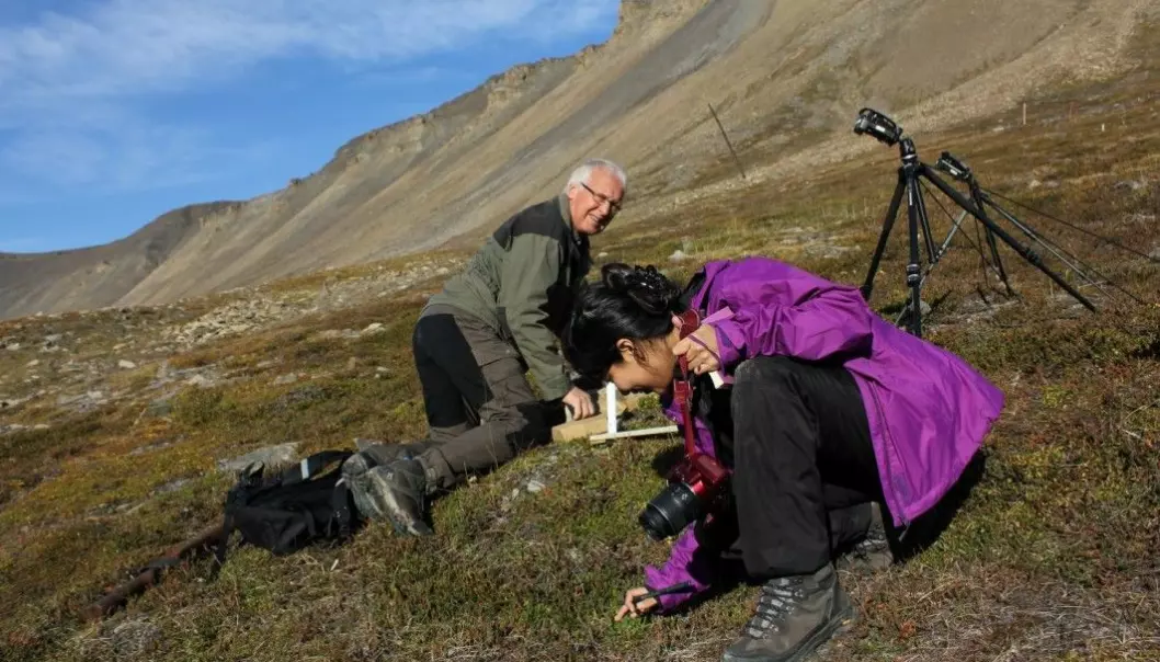 Professor emeritus Arvid Odland and research fellow Gauri Bandekar sample vegetation and soil in arctic zone C, at Adventsdalen on Spitsbergen.