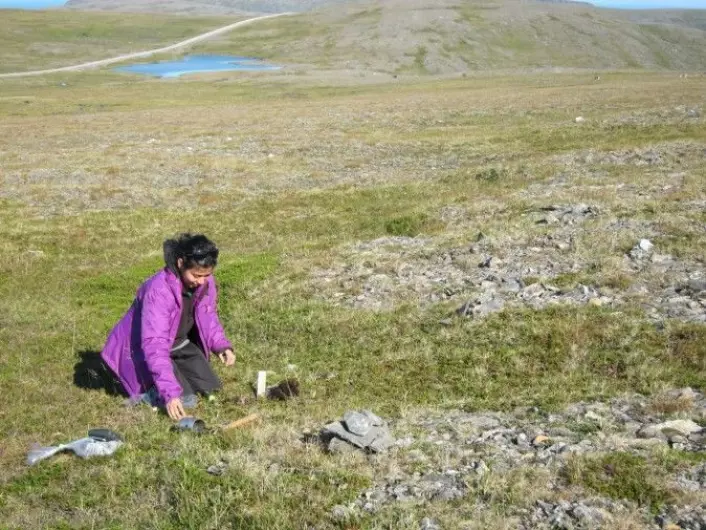 PhD student Gauri Bandekar collecting soil sample from the boreal heathland of the North Cape.